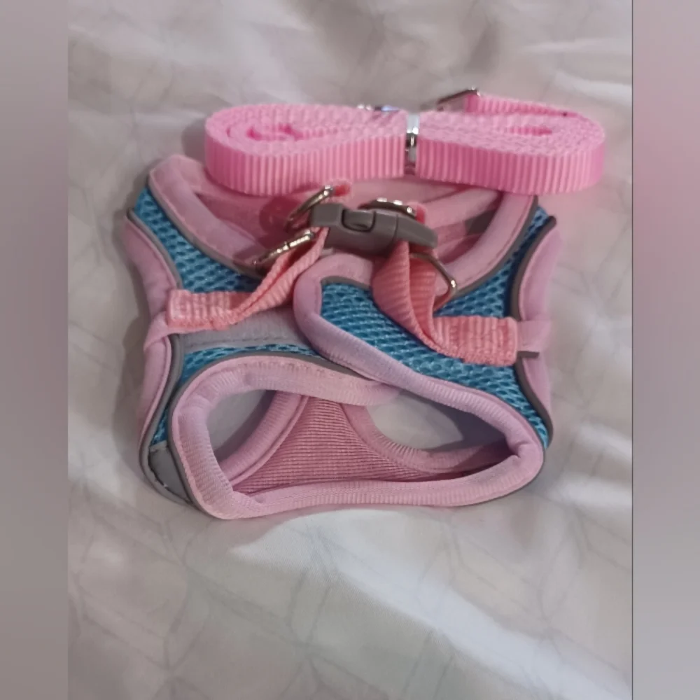 Cat Harness and Leash